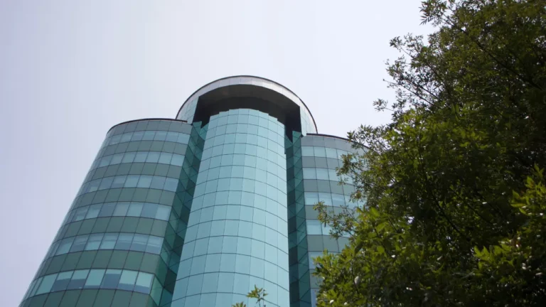 delhi office
