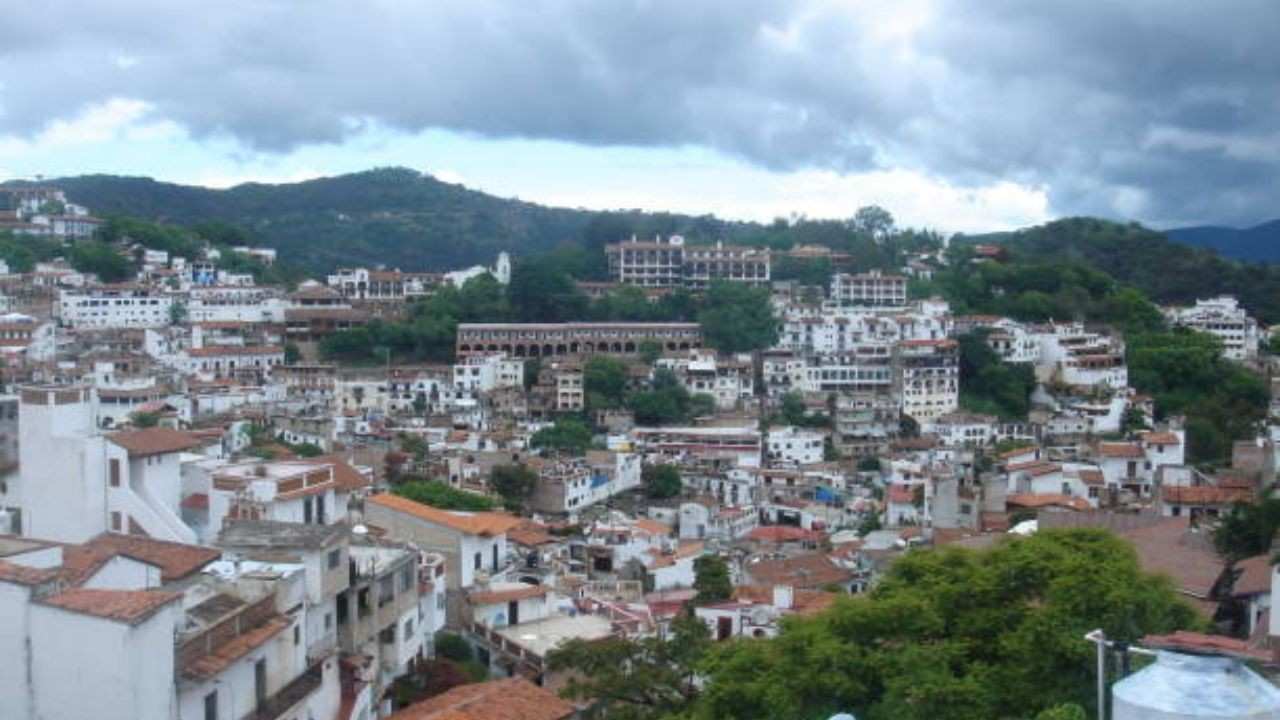 Bonito