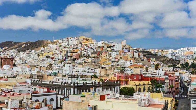 Palmas